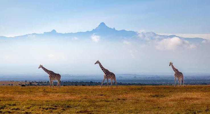 Mount Kenya